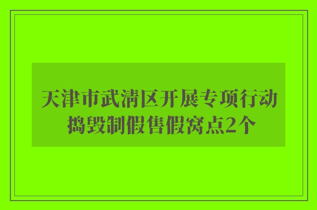 天津市武清区开展专项行动 捣毁制假售假窝点2个