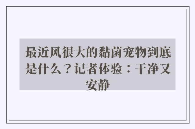 最近风很大的黏菌宠物到底是什么？记者体验：干净又安静