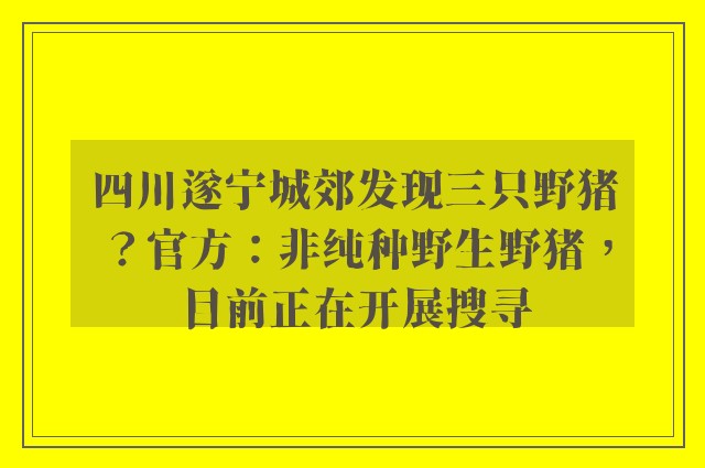 四川遂宁城郊发现三只野猪？官方：非纯种野生野猪，目前正在开展搜寻